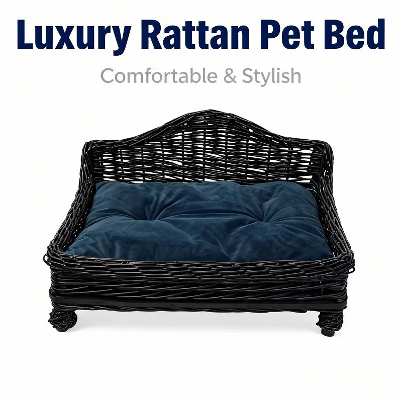 product-800-800